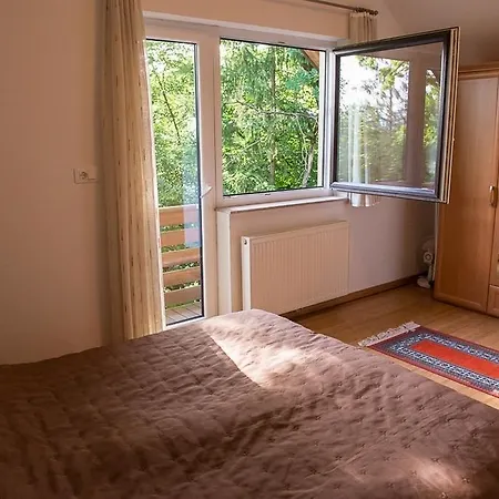 Lemut * Kranj